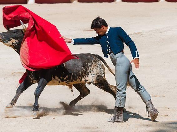Colombia’s congress votes to ban bullfights, dealing a blow to the centuries old tradition