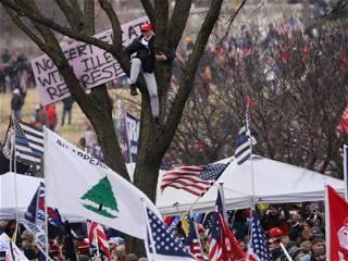 The ‘Appeal to Heaven’ flag evolves from Revolutionary War symbol to banner of the far right