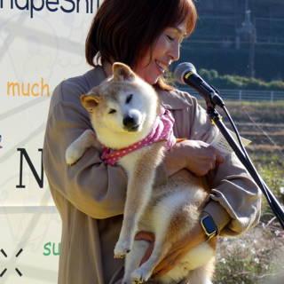 Shiba Inu Kaboso, the dog behind the ‘doge’ meme and dogecoin, dies at 18