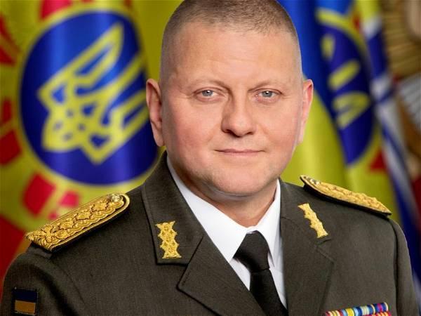 Zelensky Officially Appoints Ex-army Chief Ambassador To UK