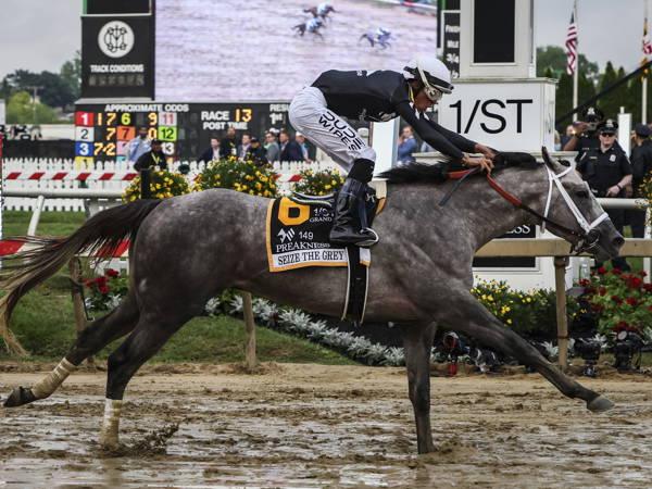 Seize the Grey wins the 2024 Preakness Stakes
