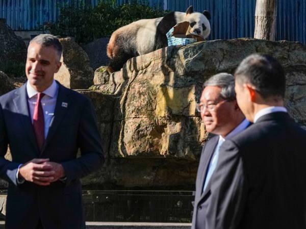 Chinese premier promises more pandas and urges Australia to put aside differences