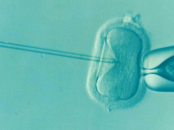 House Democrats press GOP on IVF discharge petition