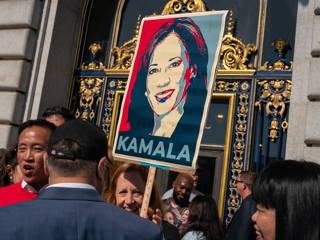Kamala Harris secures enough delegates needed to win Democratic nomination