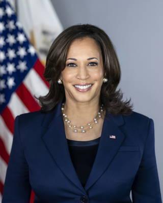 Chinese Social Media Embraces Trump After Harris Steps Into Race
