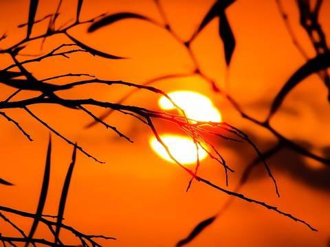 Record broken for hottest day on earth for second straight day