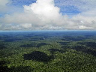 Brazil to allow miles of selective logging in effort to preserve the Amazon