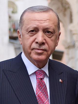 Erdogan warns that Turkey may enter Israel