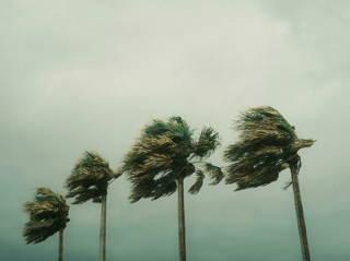 Beryl weakens to tropical storm after sweeping into Texas as Cat 1 hurricane