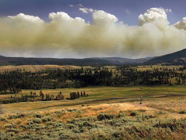 Surprise geyser explosion sends dozens running for safety in Yellowstone
