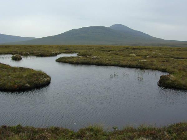 Northern Scotland’s Flow Country becomes world heritage site