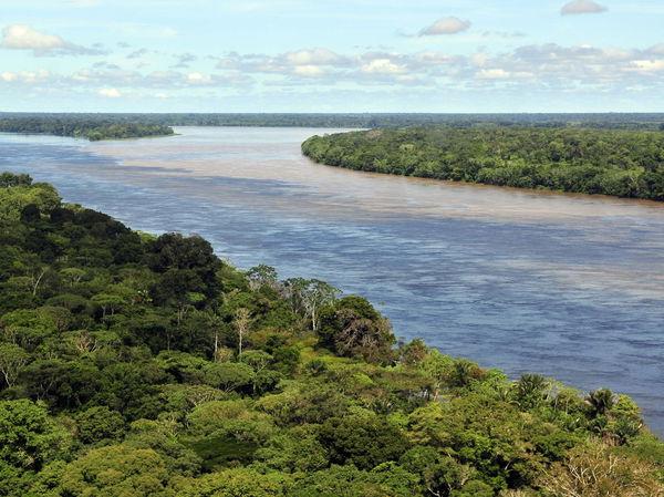 A remote Indigenous tribe kills two loggers encroaching on their land in Peru