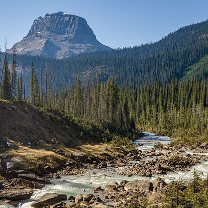 Crews respond to rail derailment in B.C. Interior