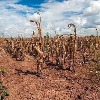 Lack of drinking water service in the town of Acatlipa in Temixco