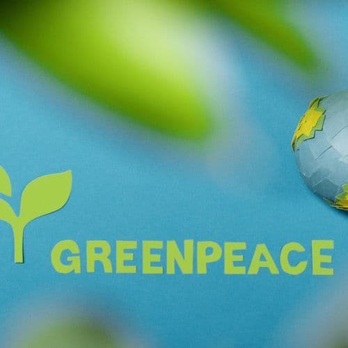 Germany Pledges €1 Billion to Brazil's Rainforest Fund