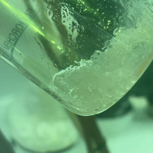 Eternal Pollutants Detected Near the Ivry Incinerator: Increasing Health Concerns in the Parisian Suburbs