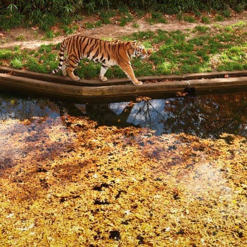 Visitors to New Jersey Zoo Get to Watch Veterinarians Treat the Animals