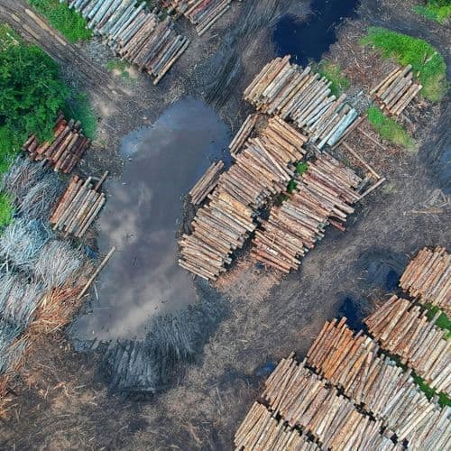 Organizations March in La Paz to Demand Actions Against Fires and Deforestation