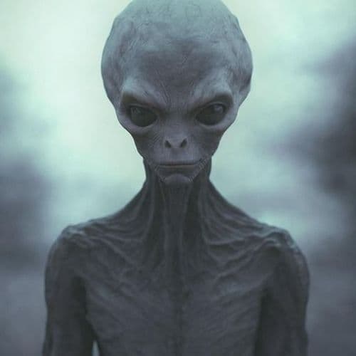 New Theory: so Far, Earth Has Not Been Contacted by Aliens