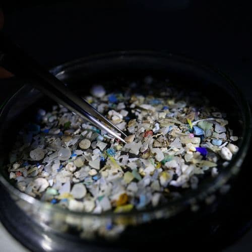 ‘A bombshell’: doubt cast on discovery of microplastics throughout human body