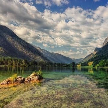 Dead Baby Found in Forest: Case From Upper Bavaria at "File Sign xy... Unresolved"