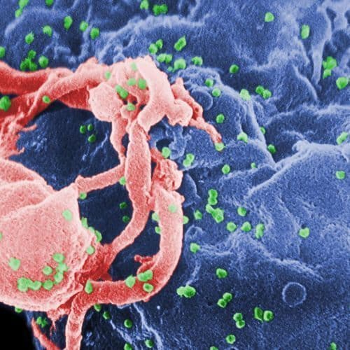 Lifeblood opens door to 625,000 potential donors after easing ban on gay and bisexual men