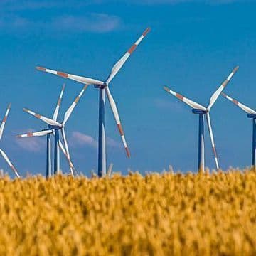 Freezing Energy Prices Together with Wind Turbines. Has the Government Found a Way to Deal with the President?
