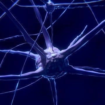 The New Scientific Explanation Behind over-Feeding