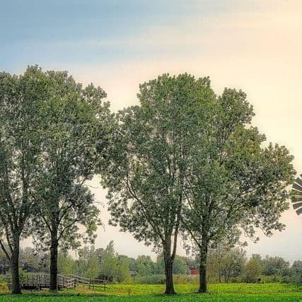 Molalla OR Breaking News Headlines Today Ground News