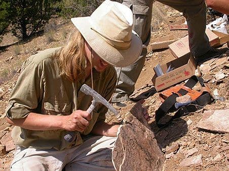 Protein Found in 20-Million-Year-Old Rhino Tooth Is Oldest Ever Sequenced