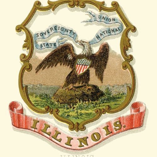 Illinois Breaking News Headlines Today Ground News