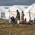 Report finds Hertfordshire's asylum seekers facing 'significant health inequalities'