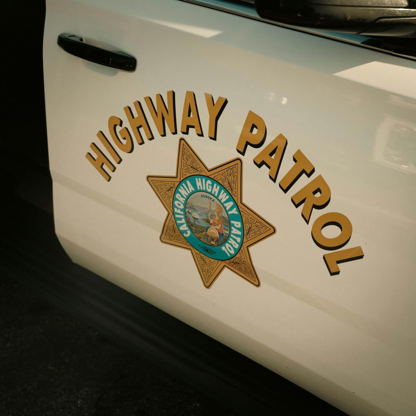 Armed Dog Walker Arrested Near a Freeway Homeless Encampment