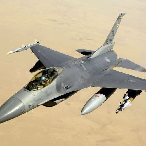 Air Force F-16's collision with ducks in Alaska ended in 'flameout landing'