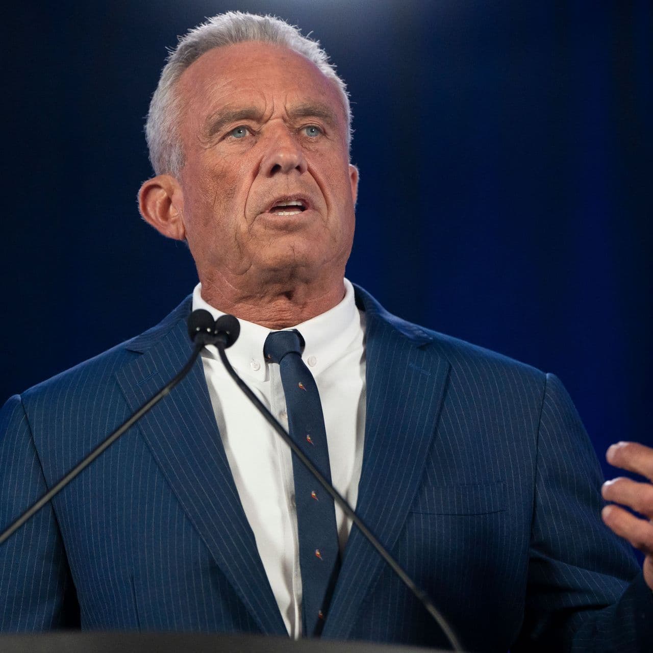 RFK Jr. blasts offshore windmill farms for harming marine life as he tries to save whales and ostriches: ‘Make no economic sense’