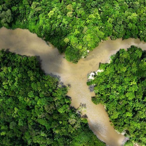Liontrust profit slides after billions more outflows