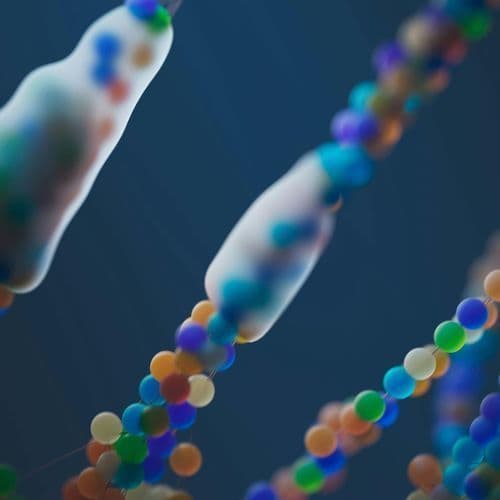 Botanical Genomics Leader LeafWorks Launches Industry’s Most Comprehensive DNA ID Tests for Functional Mushrooms