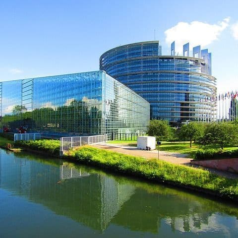 Waitz: I Received Death Threats From Bulgarian Extremists over Ep Report on Macedonia