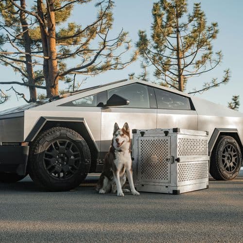 Ukiah CA Breaking News Headlines Today Ground News