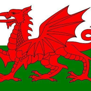 Welsh Teachers Expected to 'Endure Violence' Says a Union