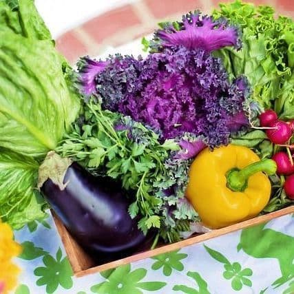 Does Dietary Fiber Combat Hypertension?