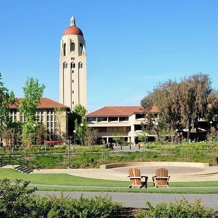 Stanford's New Rice-Sized Device Destroys Clots Where Other Treatments Fail