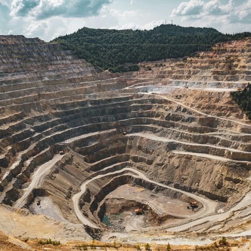 Mining activity in Goa to resume in next six months: Union minister