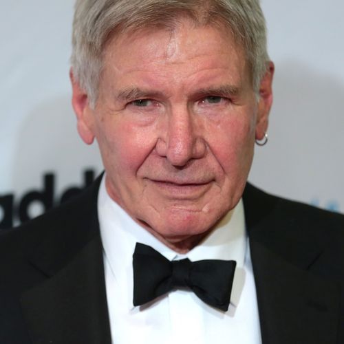 Harrison Ford: What did the actor look like in his early days?