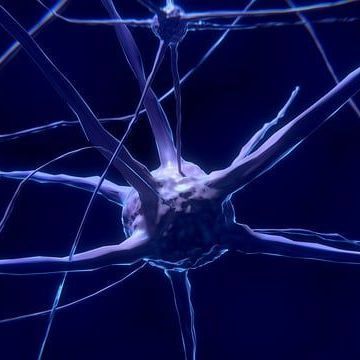 Supporting optimal brain health