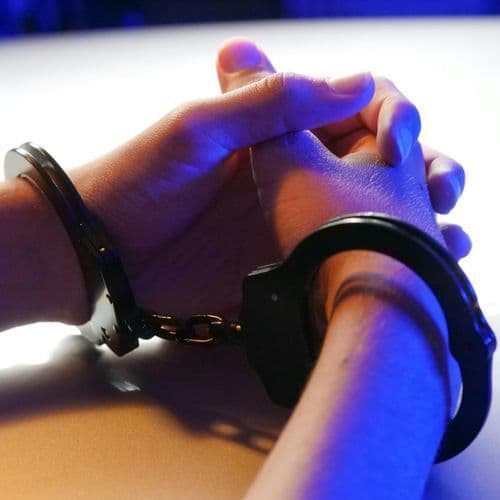 Theft of Bainbridge city vehicle leads to foot pursuit and dead dog; suspect apprehended - The Post-Searchlight