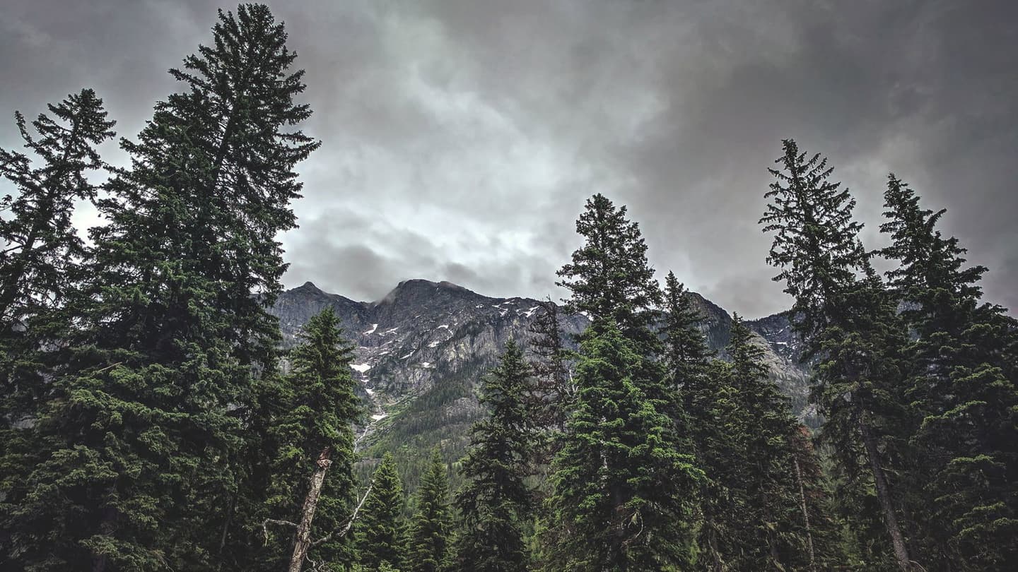 Mark Burnett/Pexels