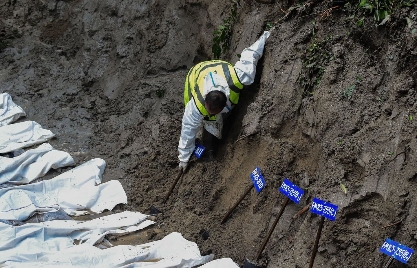 Ritesh Shukla/Getty Images/Getty
