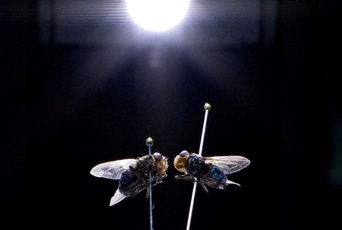 Kaylee Greenlee/Reuters
