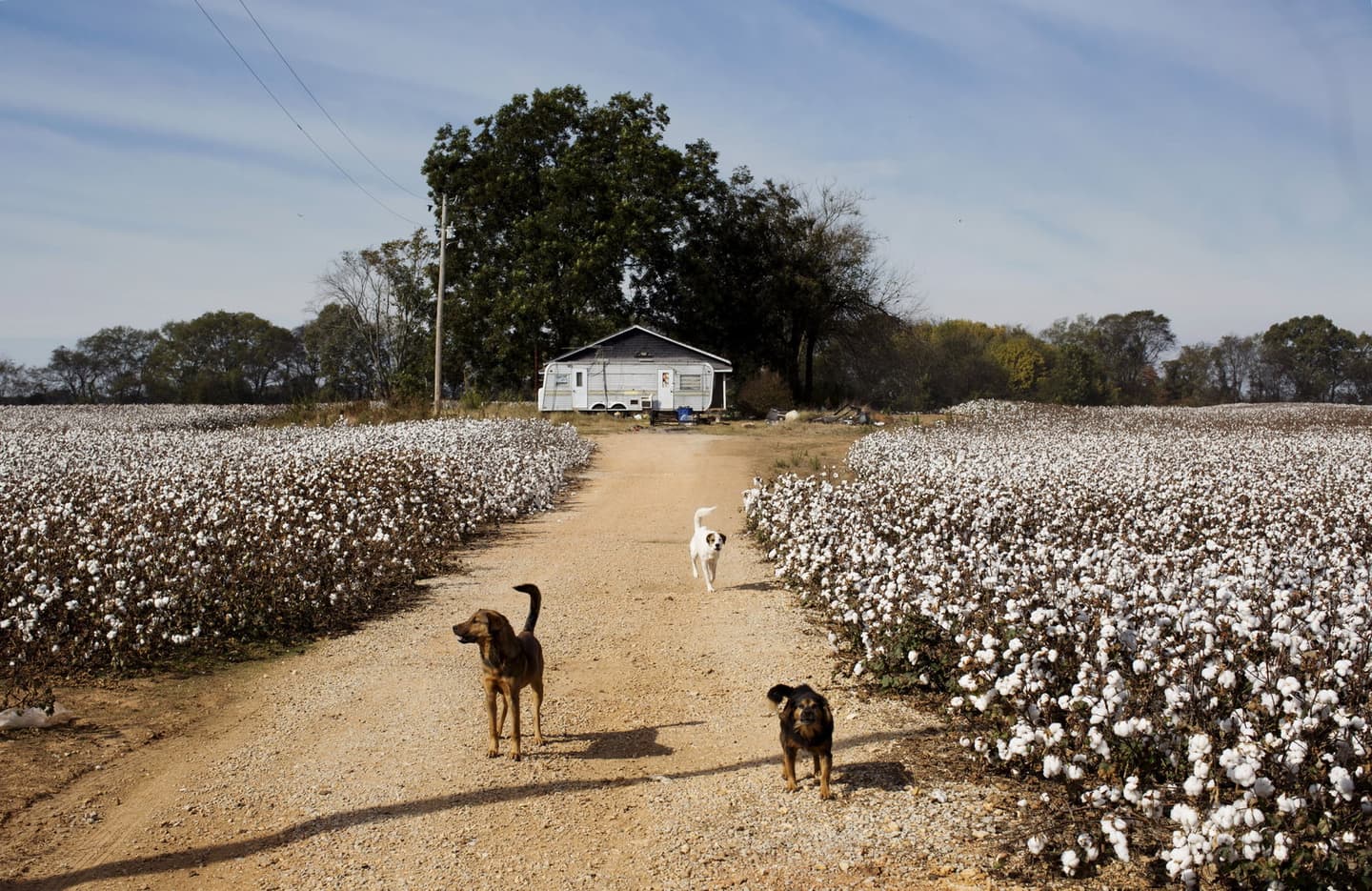 Brian Snyder/Reuters
